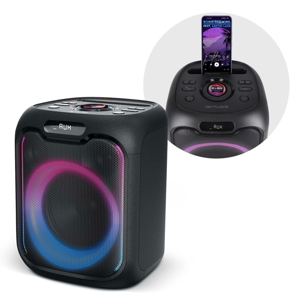 M-1803 | Muse Party Speaker met Microfoon 150W