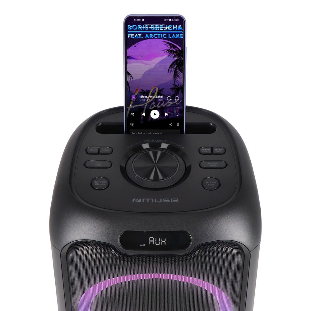 M-1803 | Muse Party Speaker met Microfoon 150W